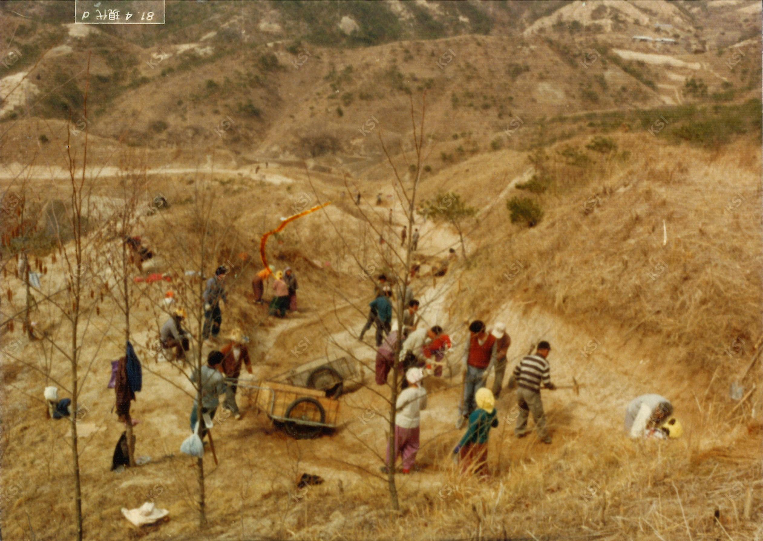 1981년 서부 냉해대책사업 시공 중