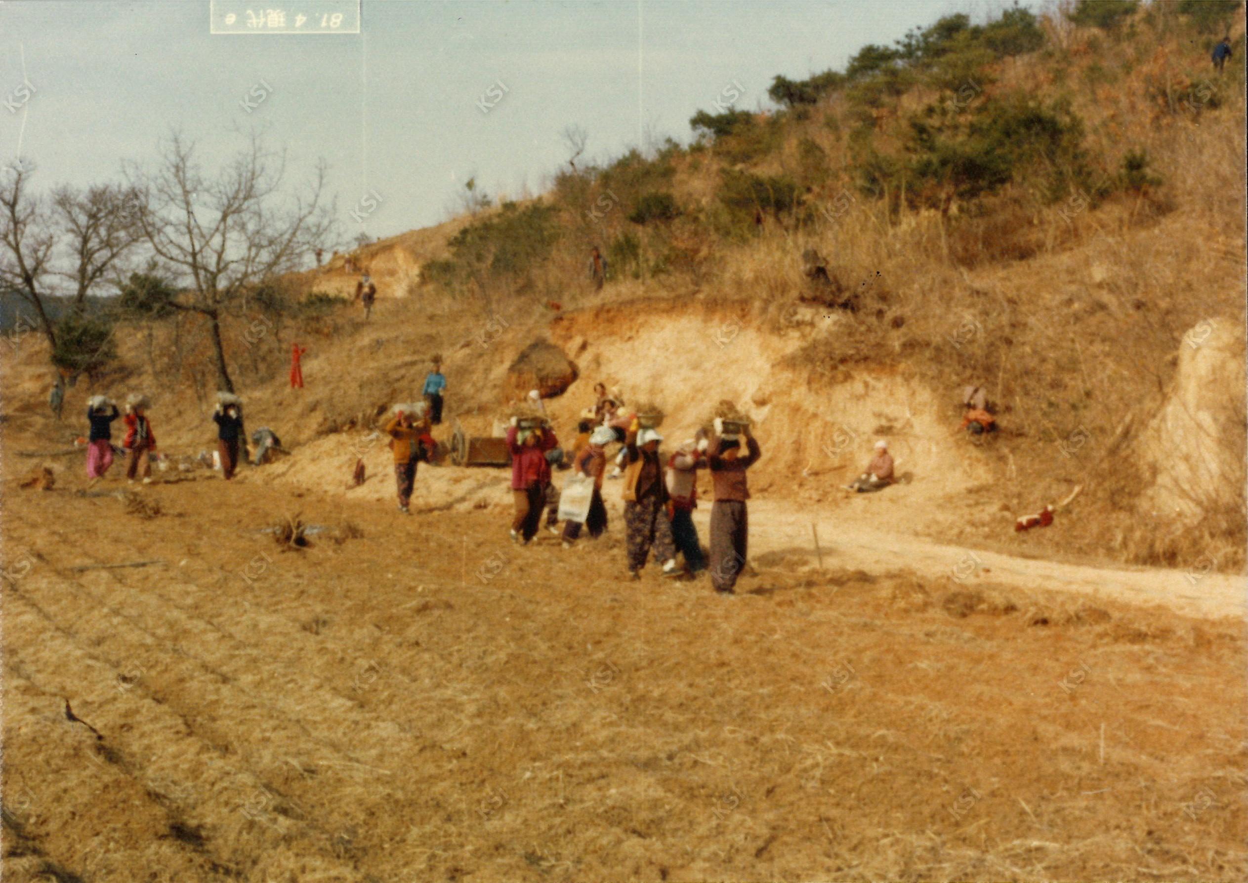 1981년 동부1 취로사업