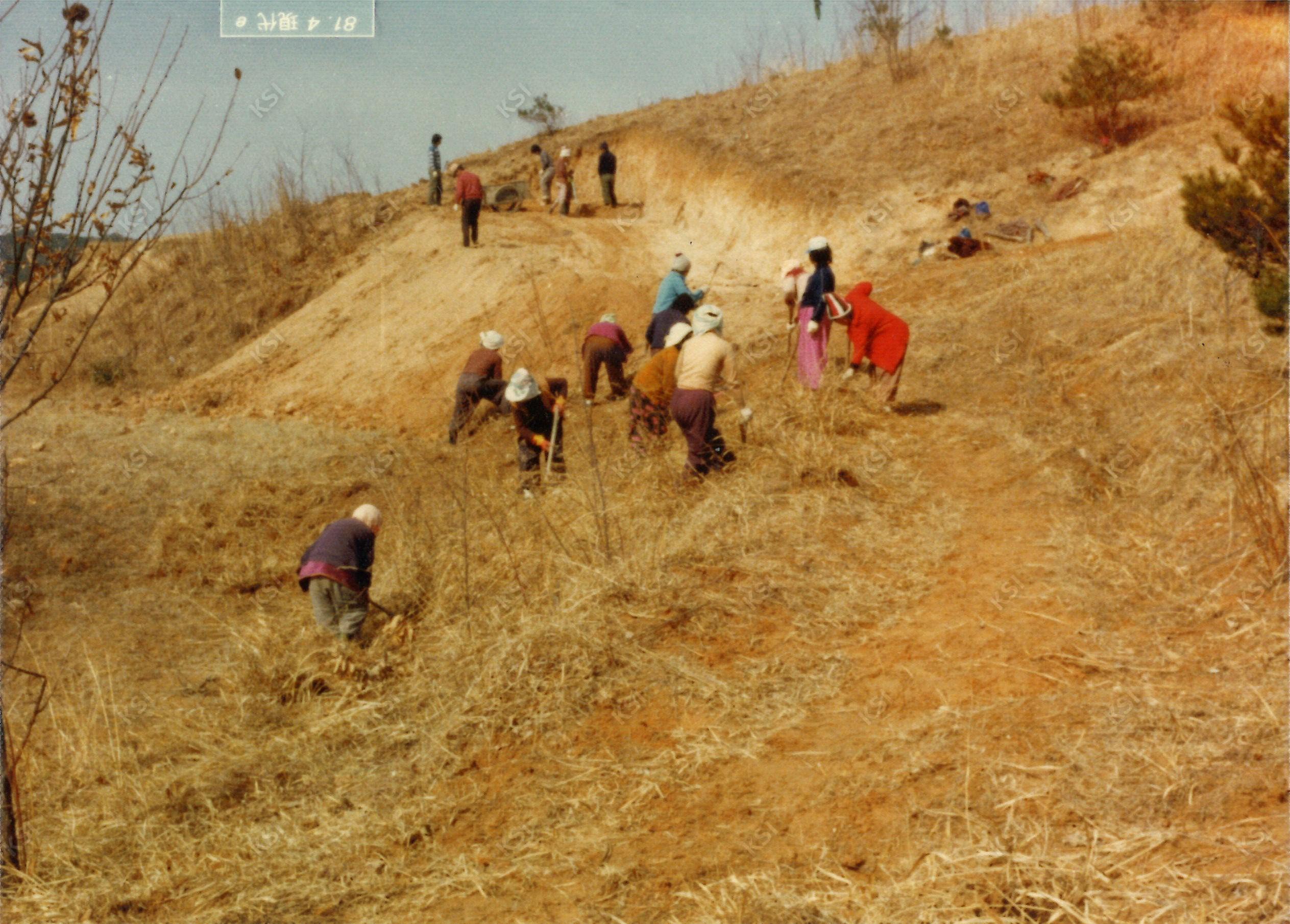 1981년 동부1 취로사업