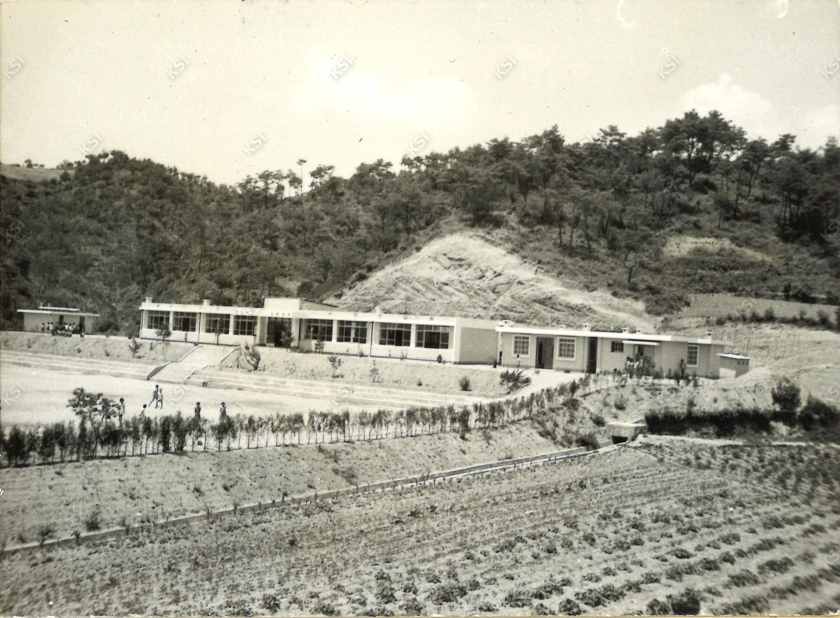 1970년대 중반 신축 예안국민학교