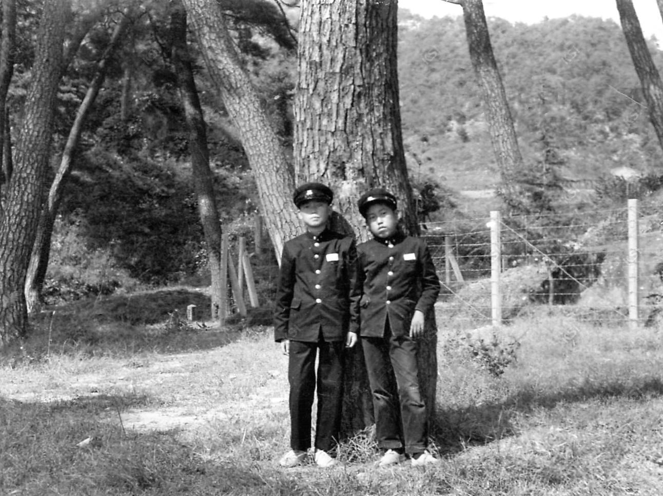1970년 예안중 2년 소풍(도산서원 솔밭)