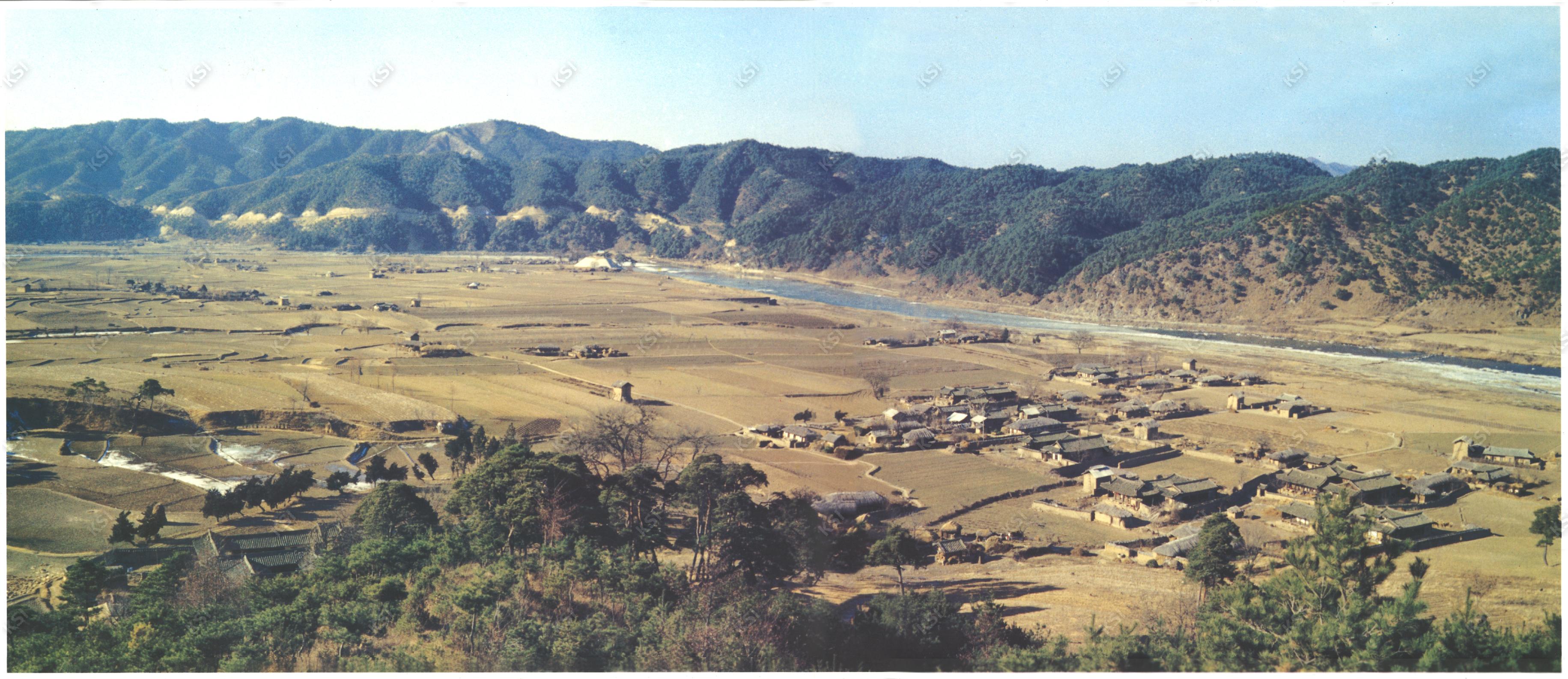 1974년 의촌리 의인 뒷산에서