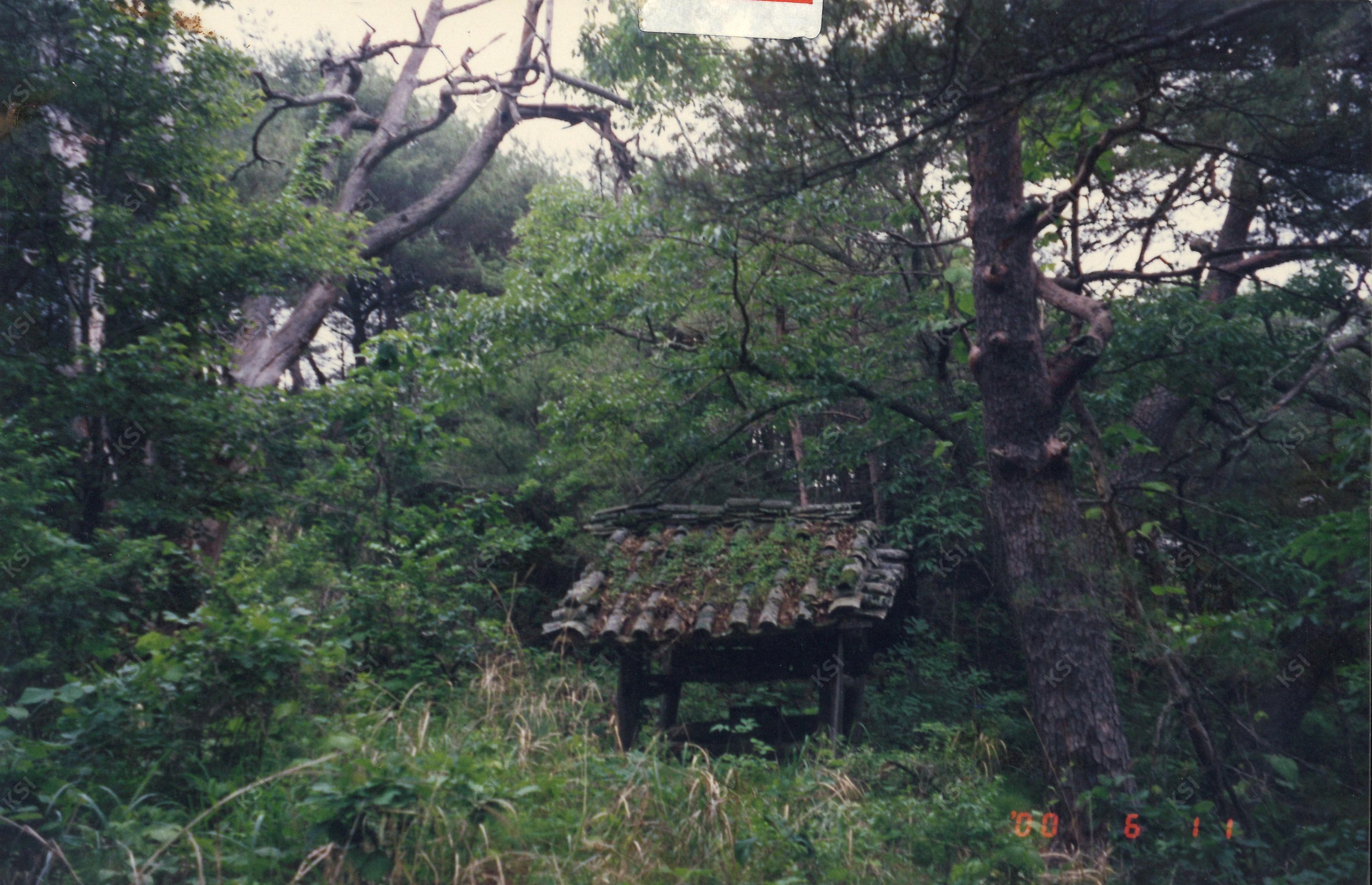1977년 의인 성황당