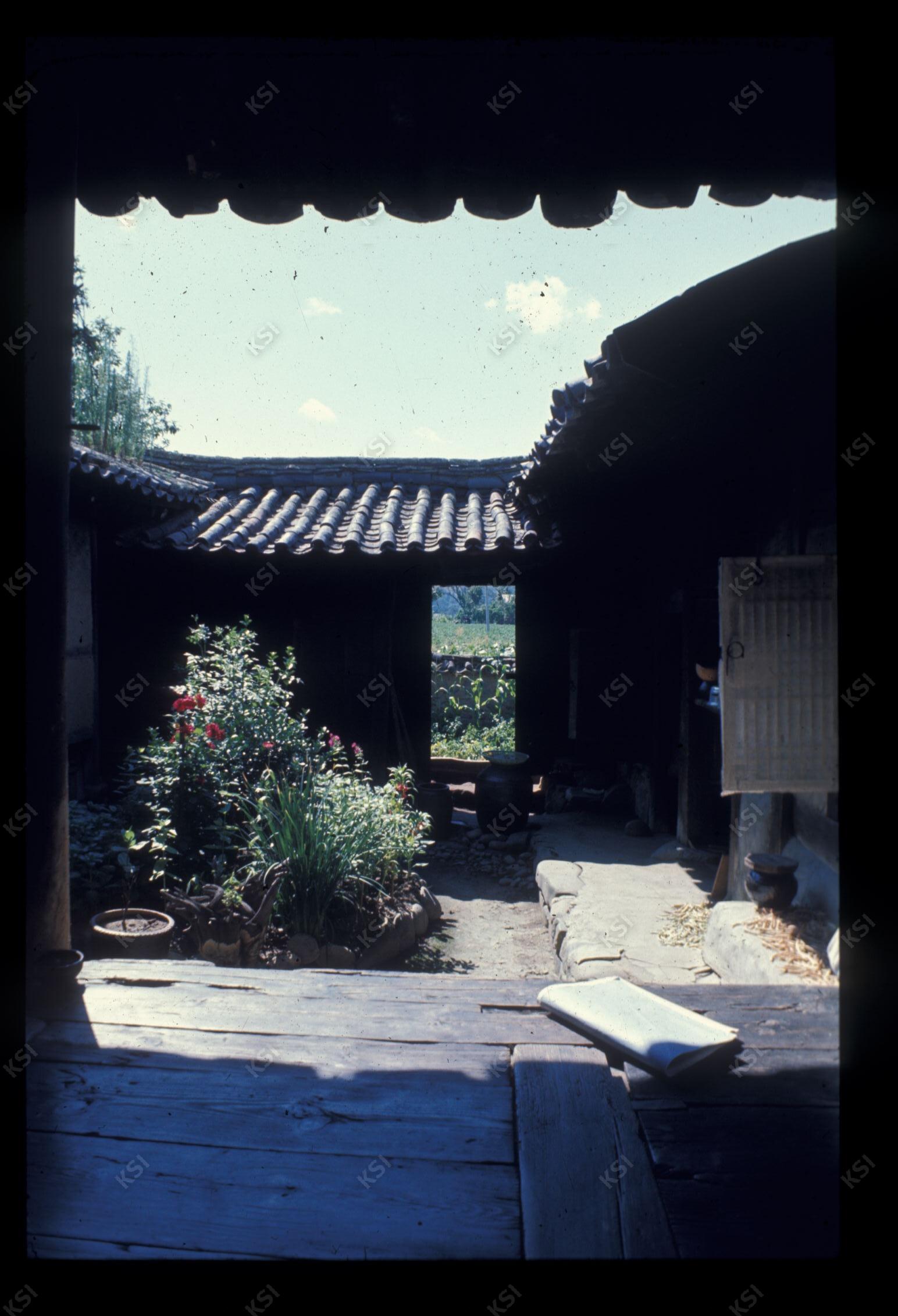 1975년 의촌 구정댁