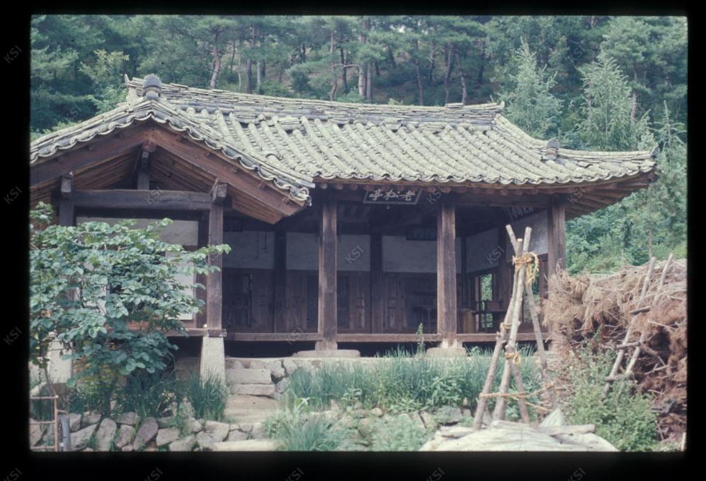 1975년 온혜 노송정