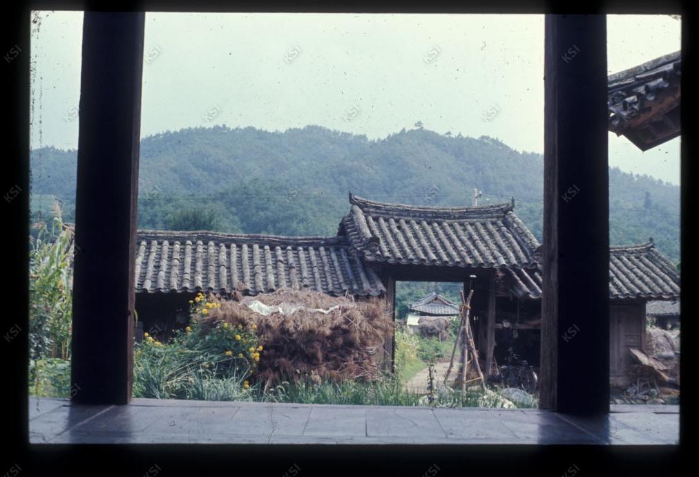 1975년 온혜 노송정