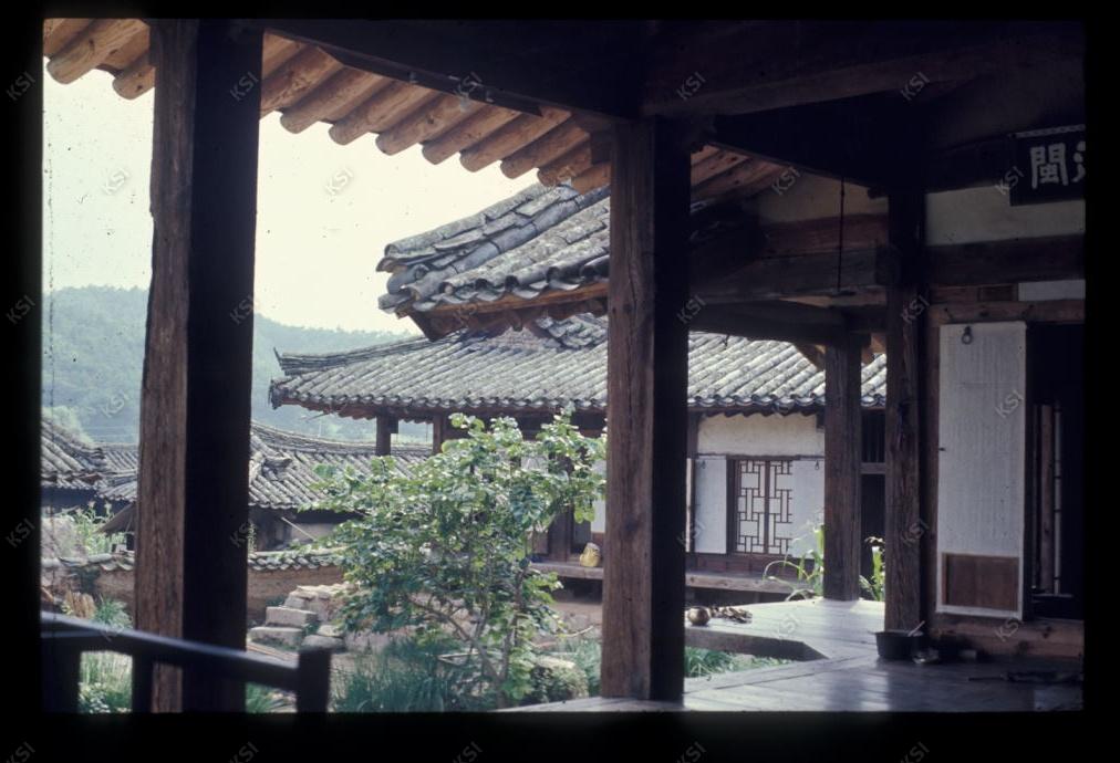 1975년 온혜 노송정
