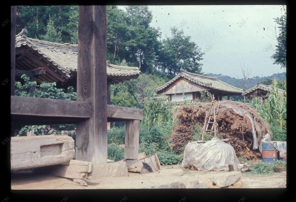 1975년 온혜 노송정