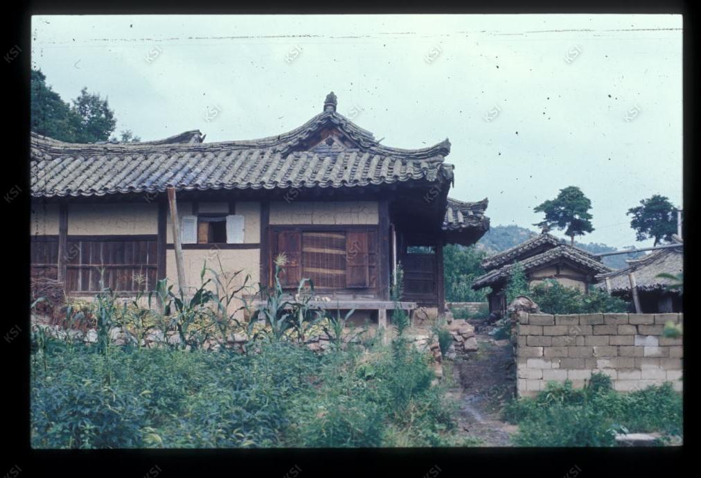 1975년 온혜 노송정