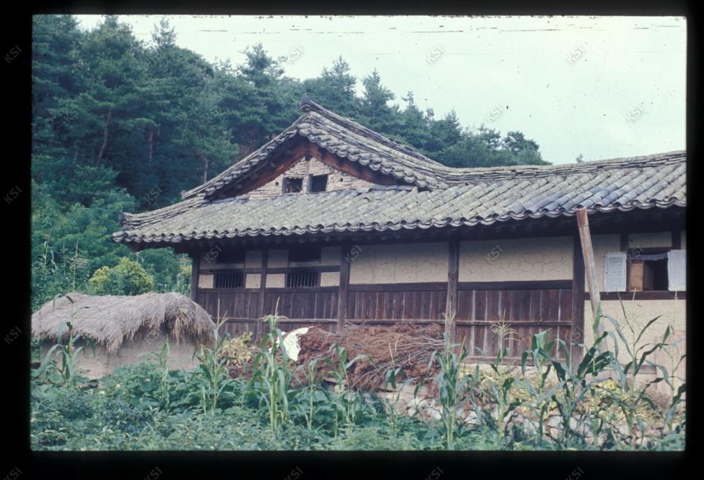 1975년 온혜 노송정