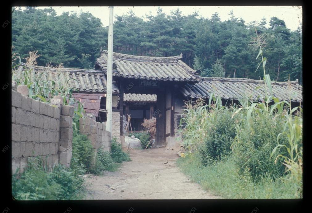 1975년 온혜 노송정