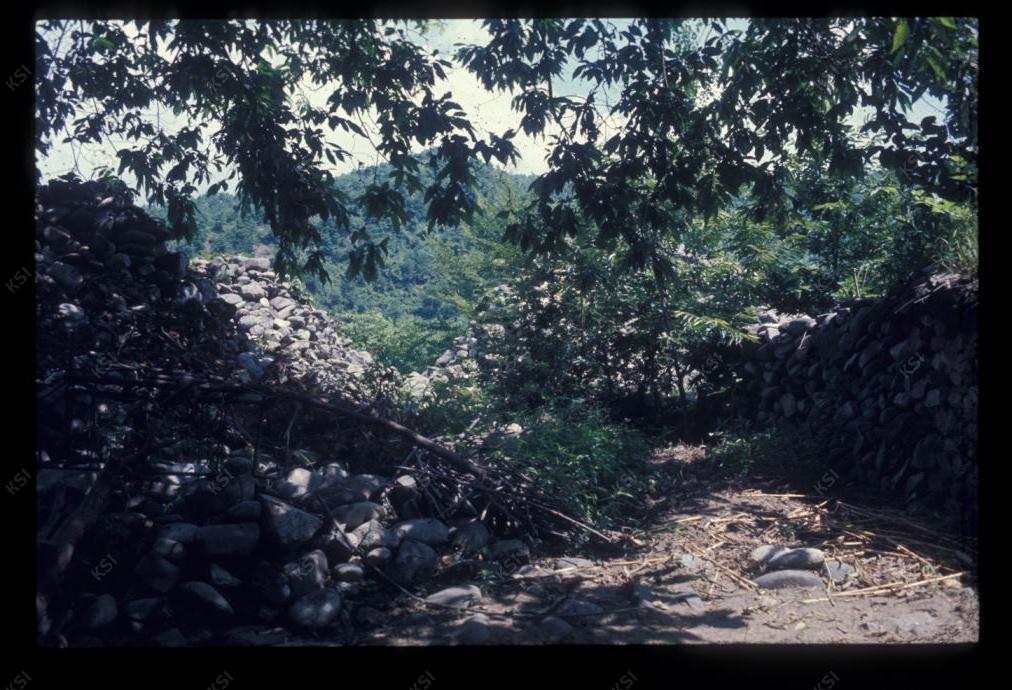 1975년 의촌 돌의뫼
