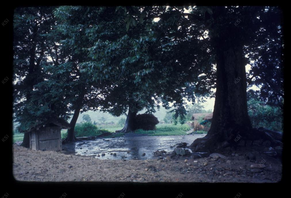 1975년 의촌 두릉당