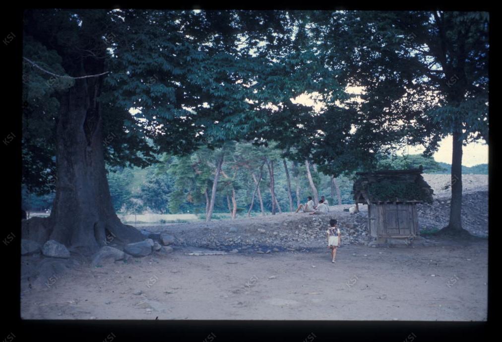 1975년 의촌 두릉당