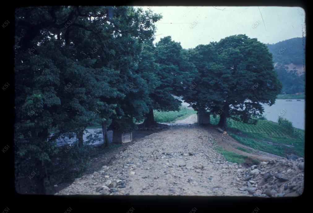 1975년 의촌 두릉당