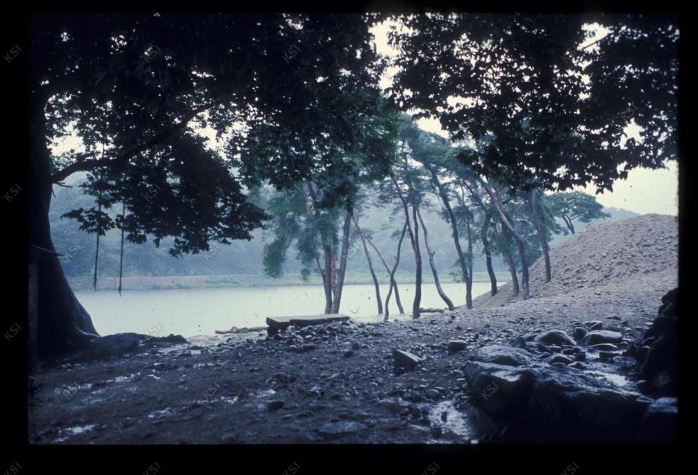 1975년 의촌 두릉당
