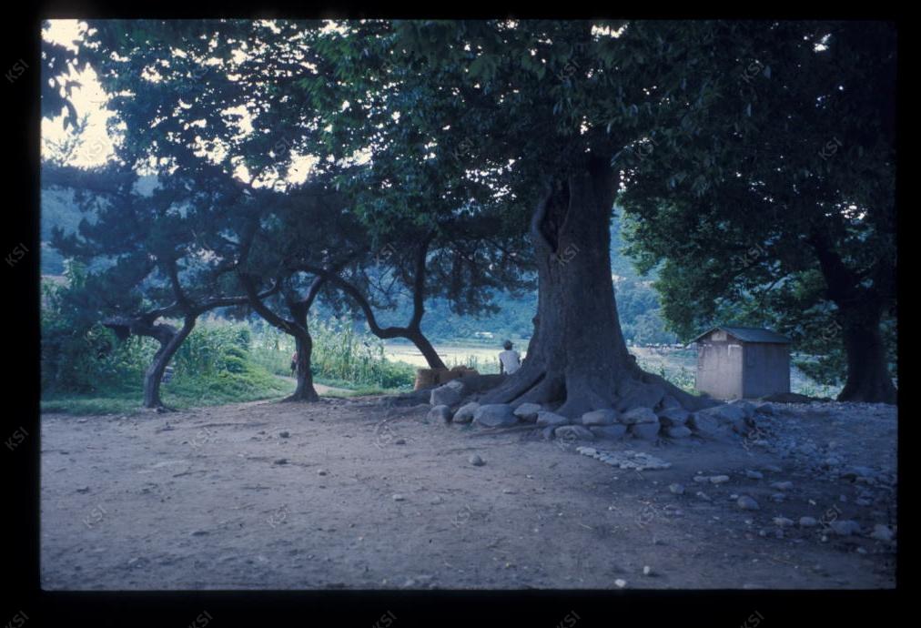 1975년 의촌 두릉당