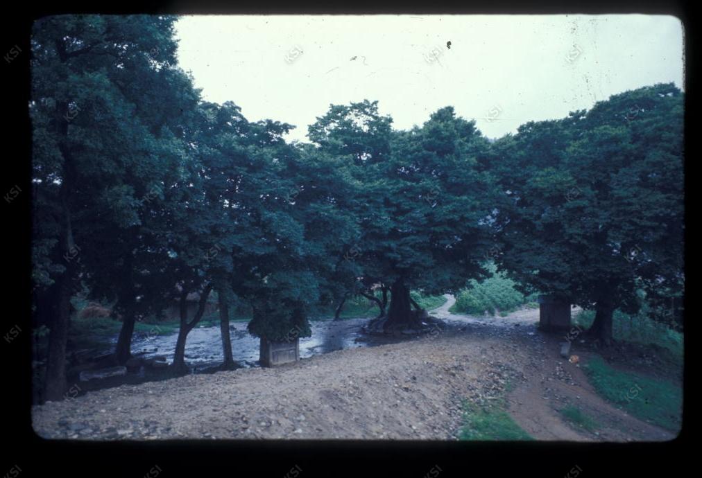 1975년 의촌 두릉당