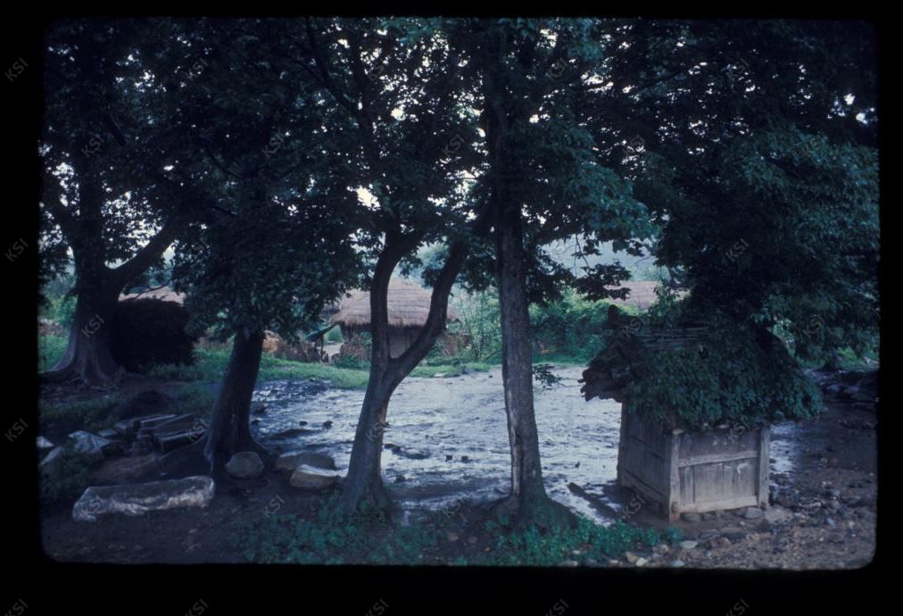 1975년 의촌 두릉당