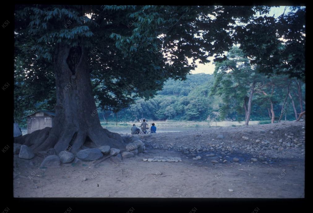 1975년 의촌 두릉당