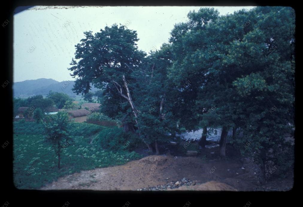 1975년 의촌 두릉당