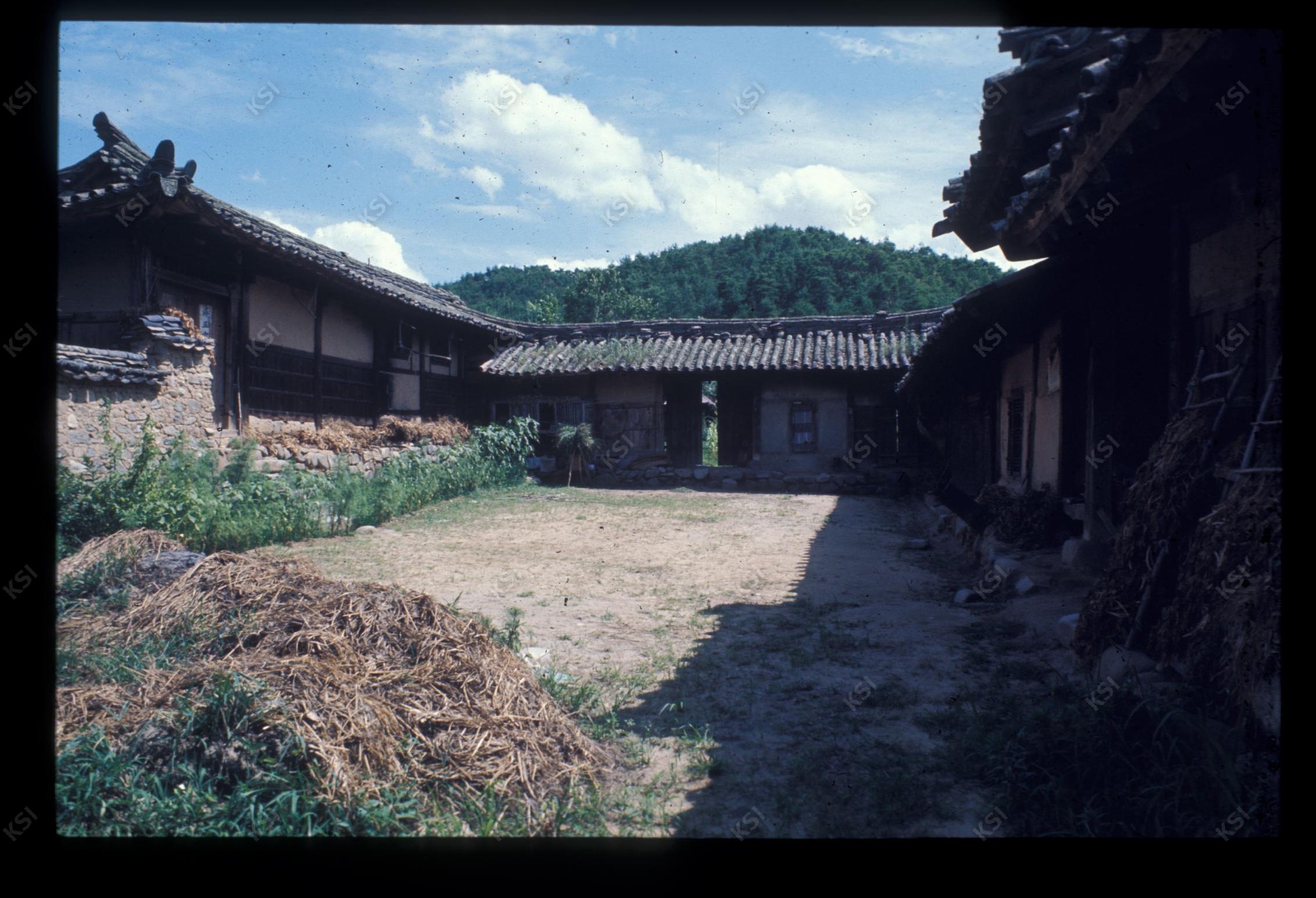 1975년 의촌 번남