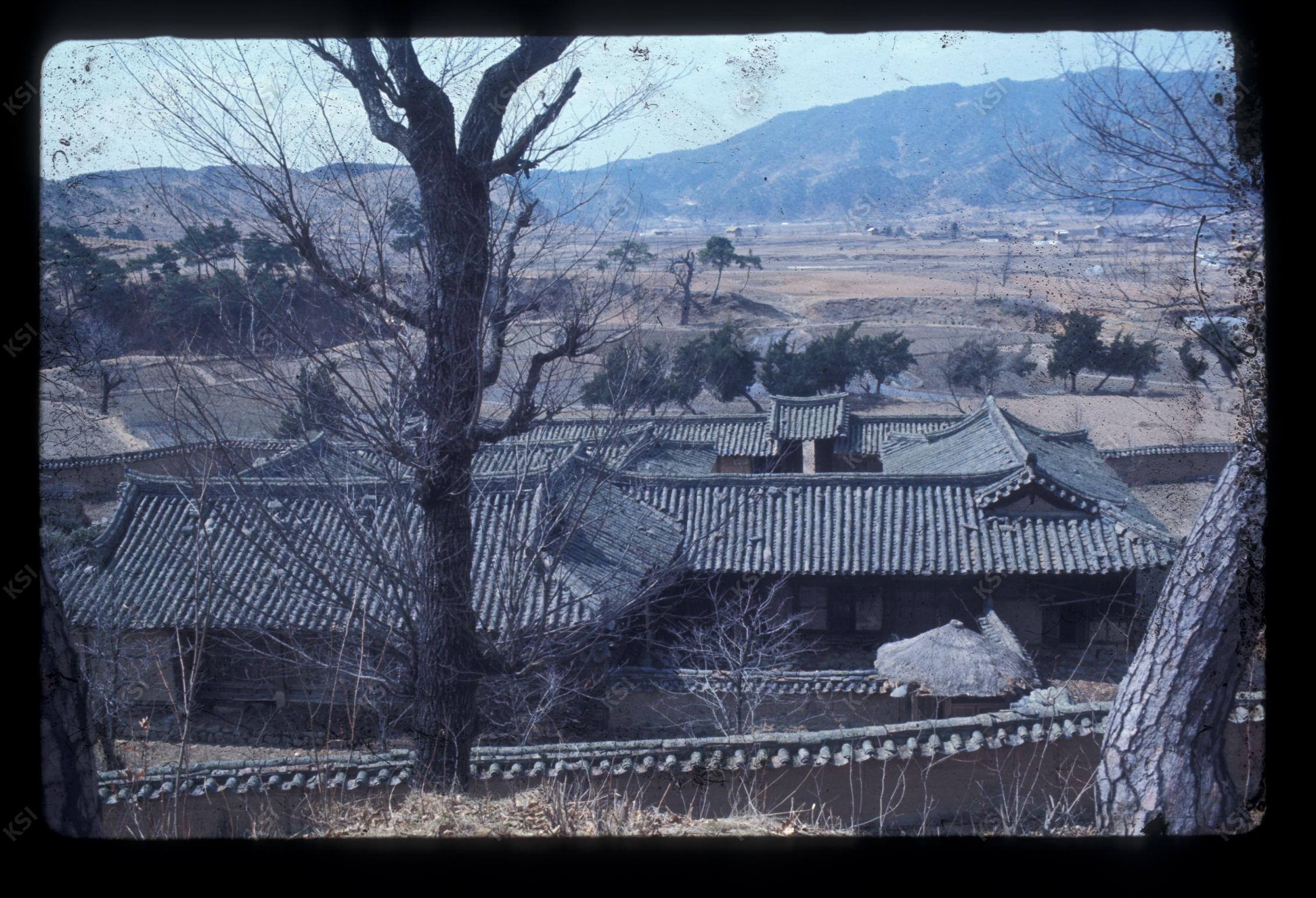 1975년 의촌 번남