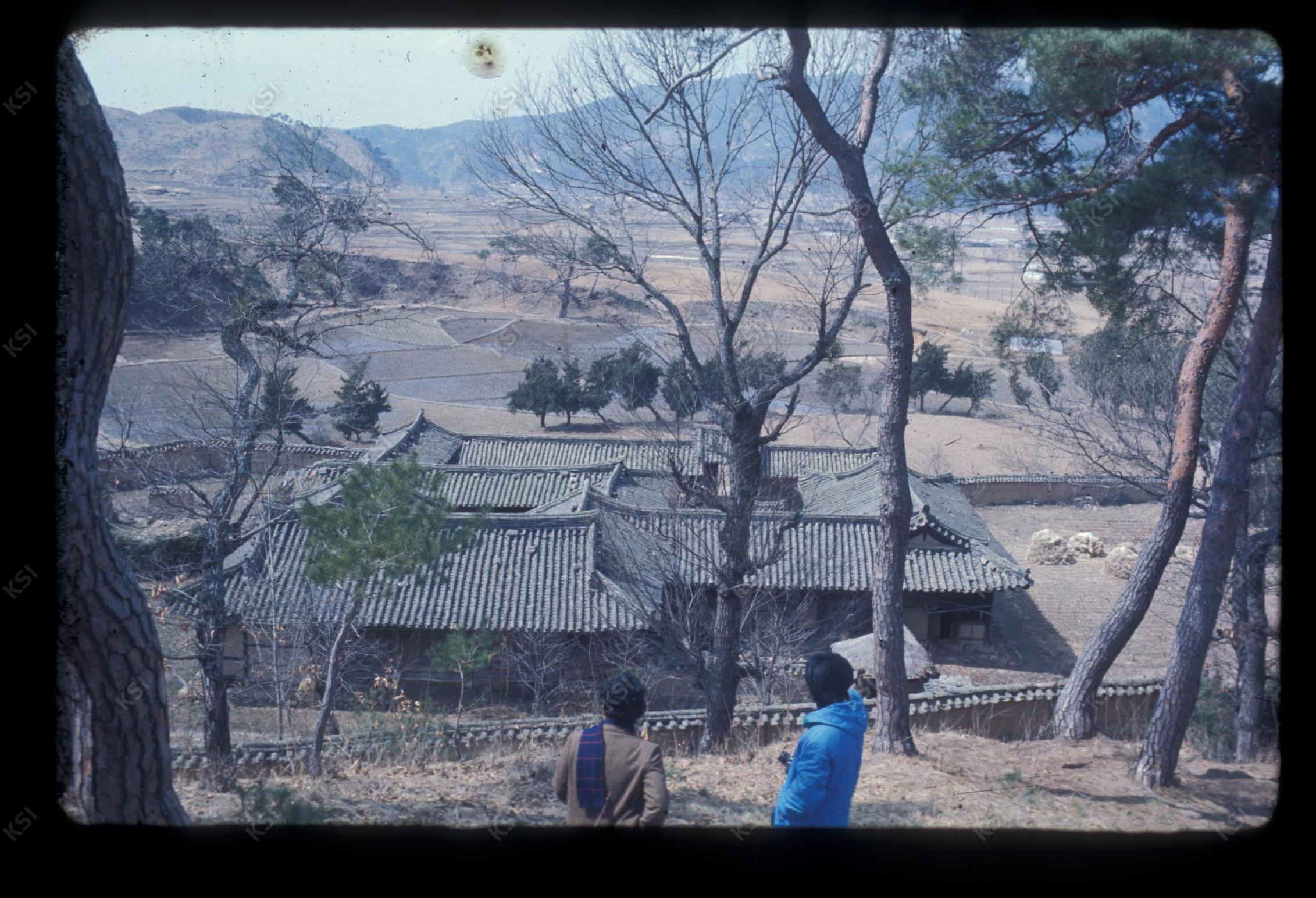 1975년 의촌 번남