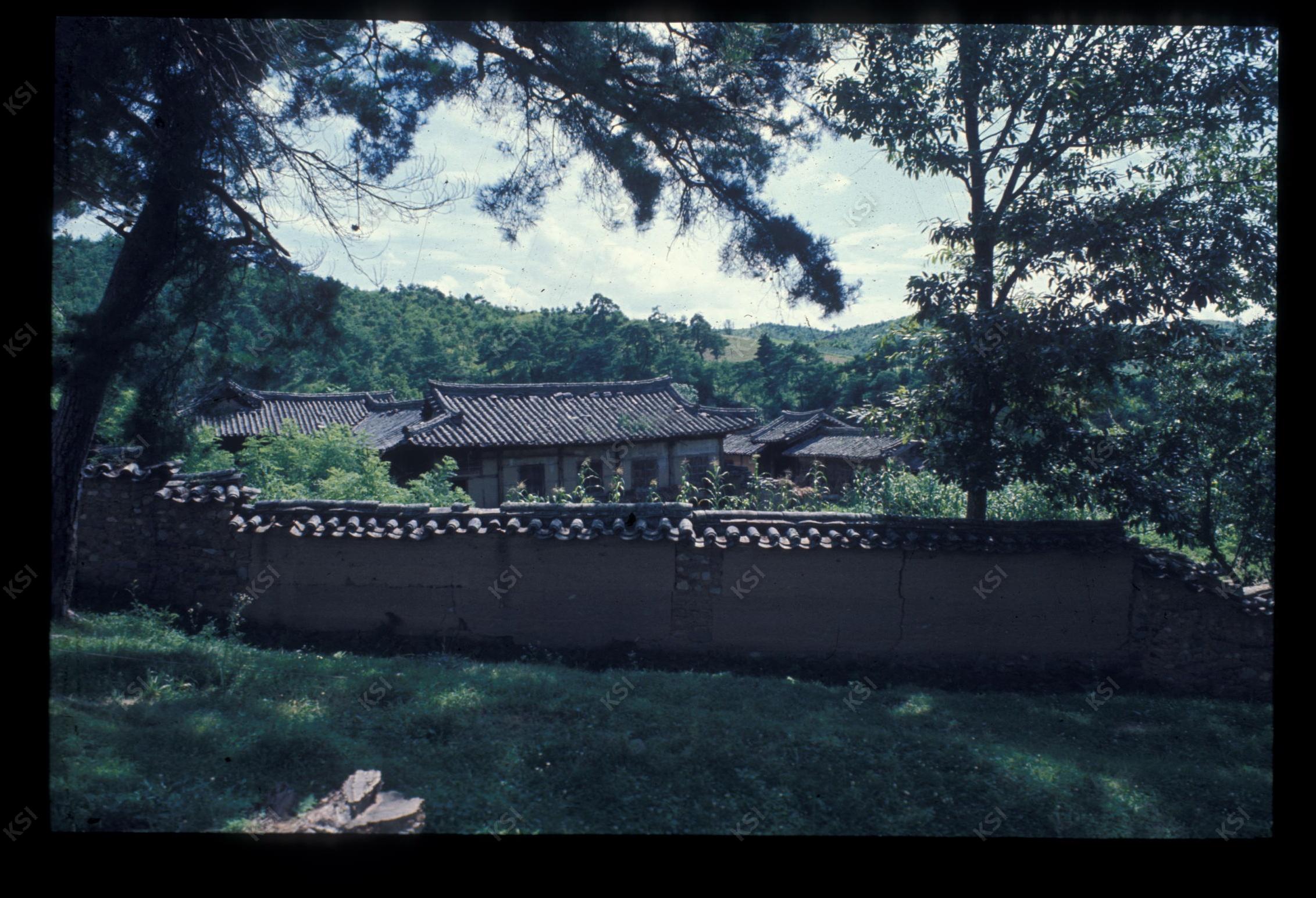 1975년 의촌 번남