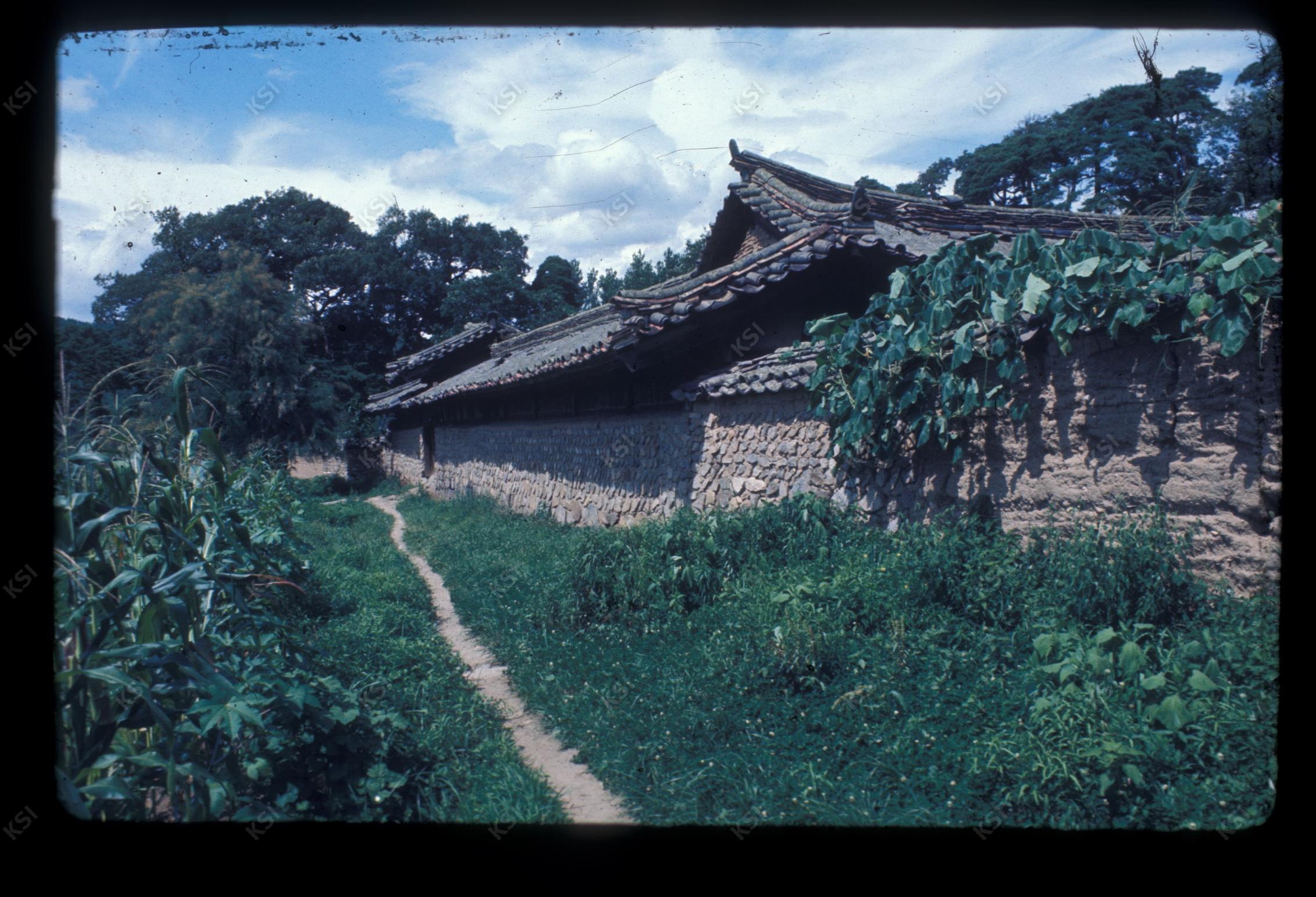 1975년 의촌 번남