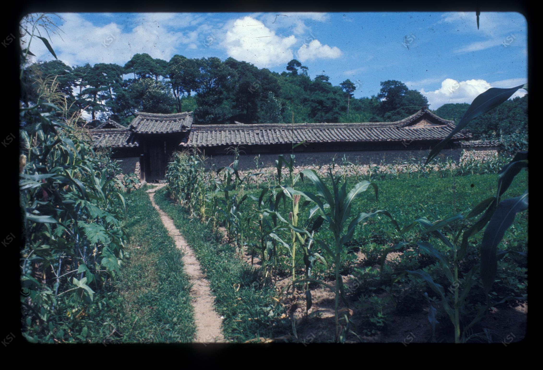 1975년 의촌 번남
