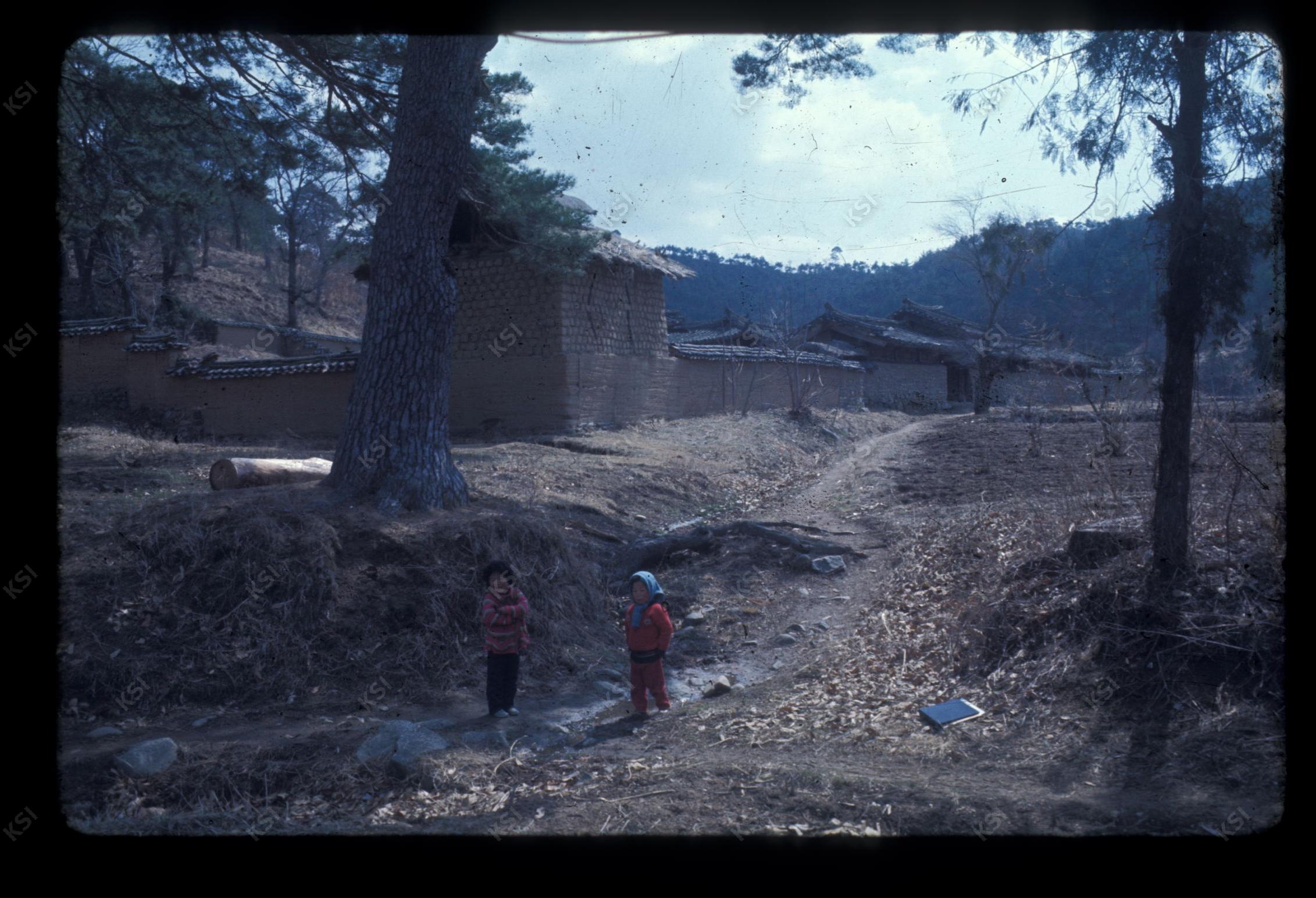 1975년 의촌 번남