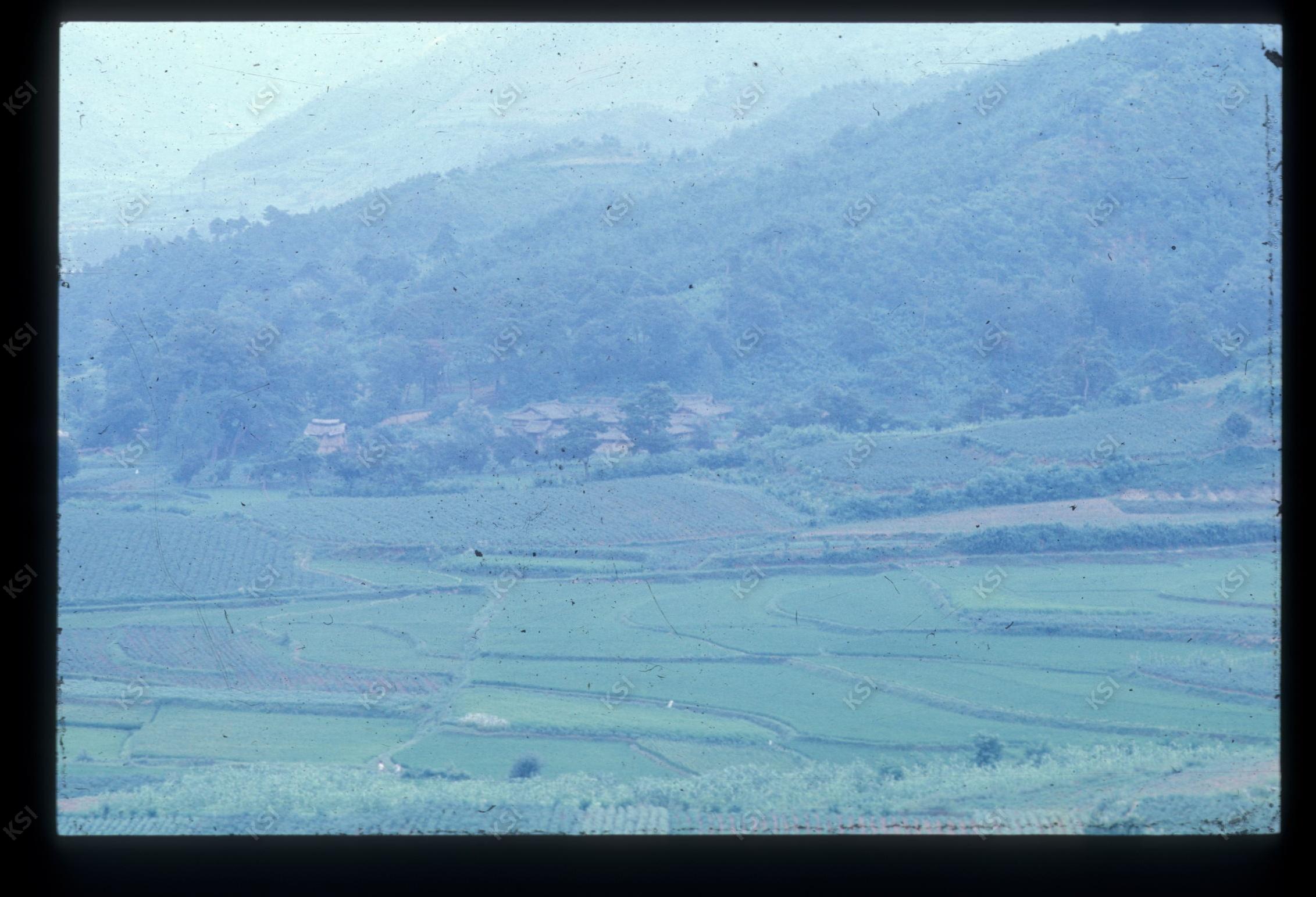 1975년 의촌 번남
