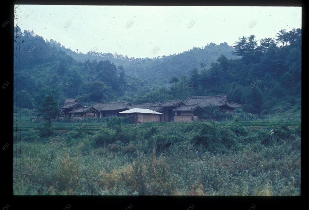 1975년 의촌 상계
