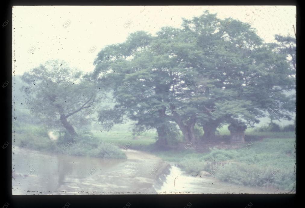 1975년 의촌 상계