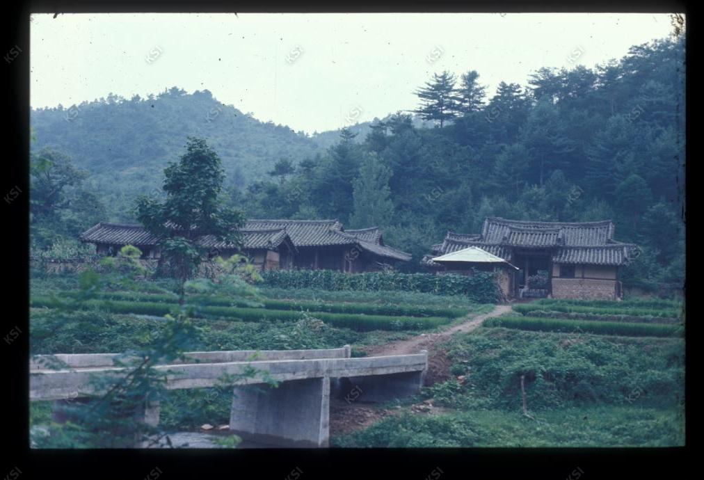 1975년 의촌 상계