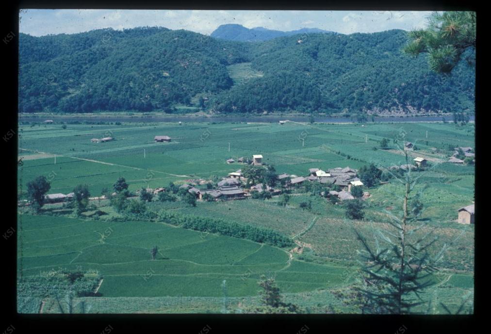 1975년 의촌 새터