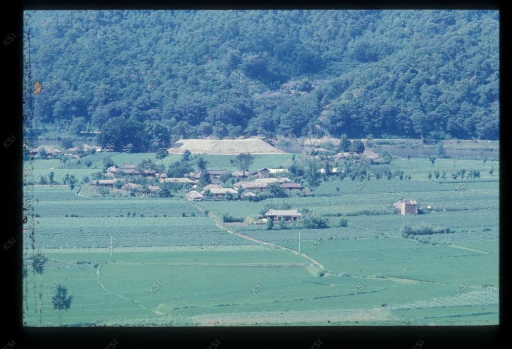 1975년 섬마