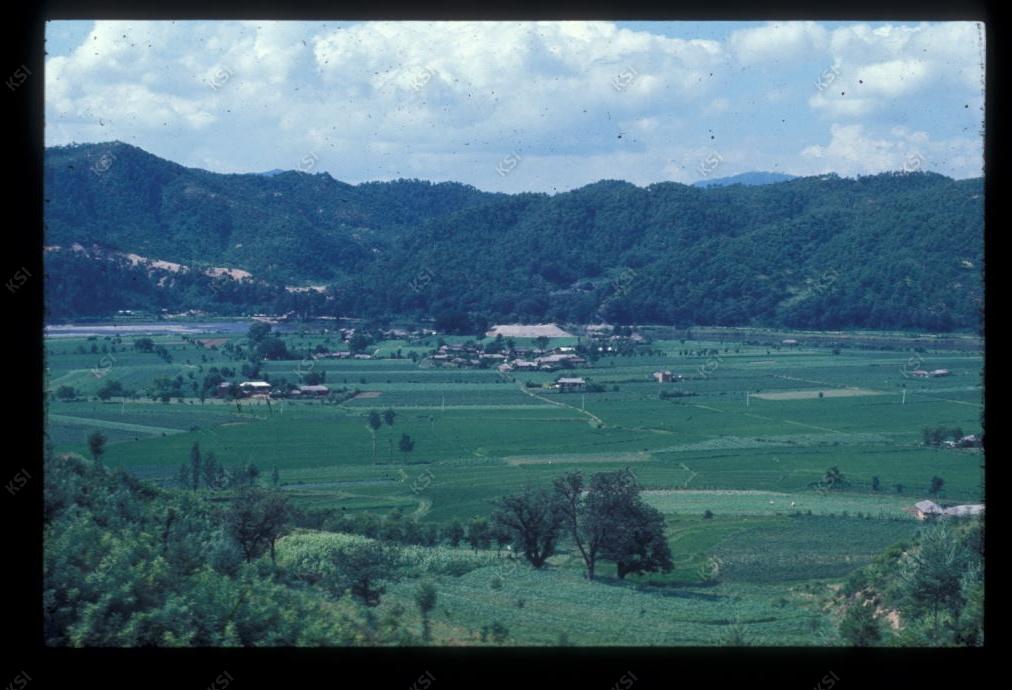 1975년 섬마