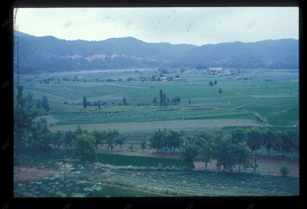 1975년 섬마