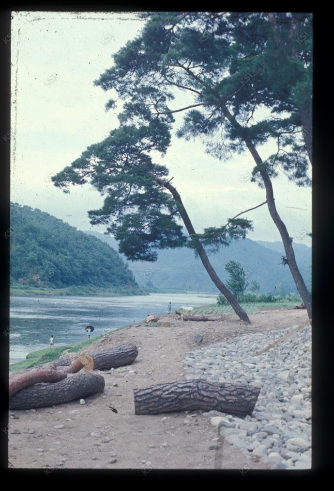 1975년 의촌 시사단