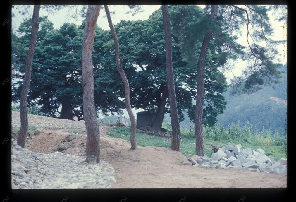 1975년 의촌 시사단