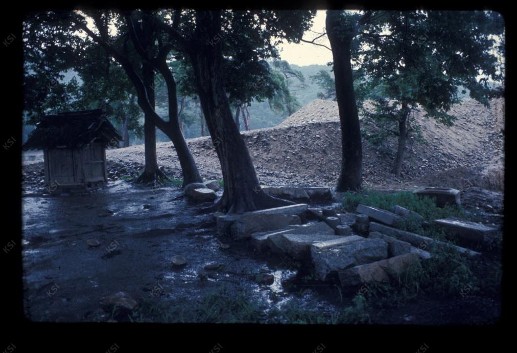 1975년 의촌 시사단