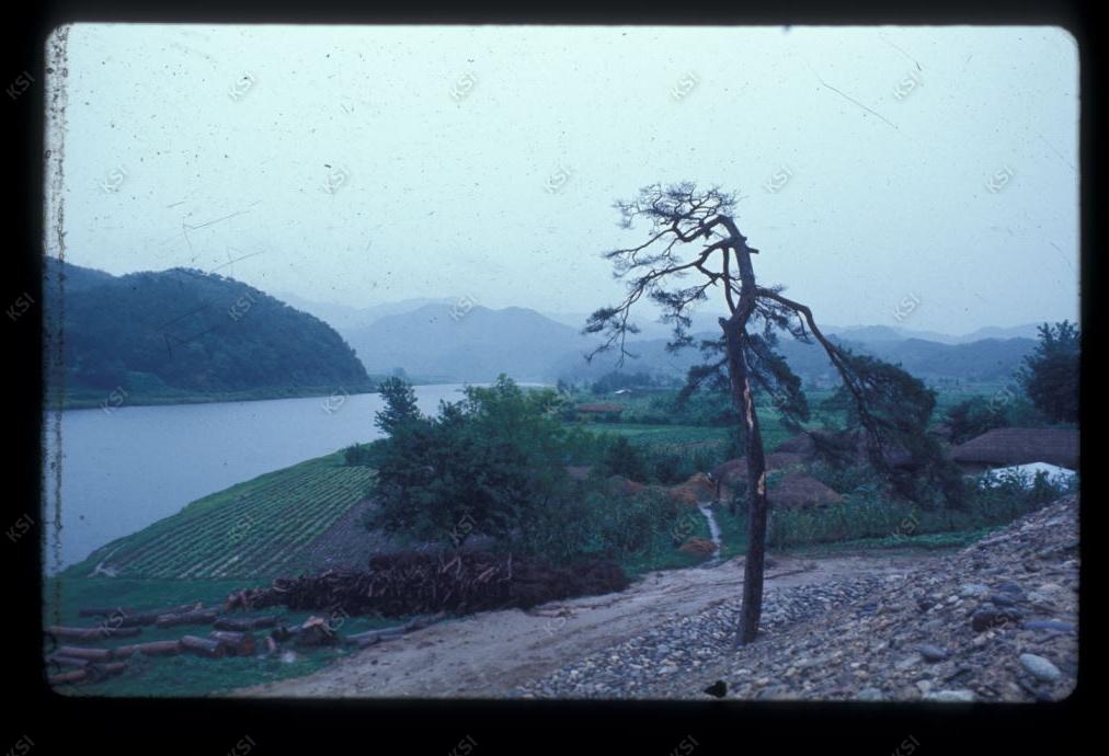1975년 의촌 시사단