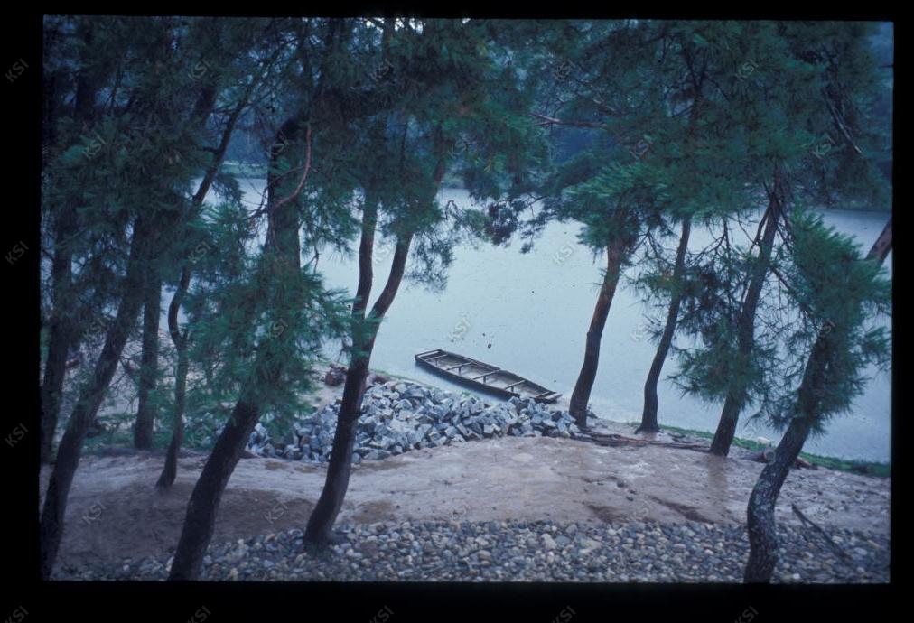1975년 의촌 시사단