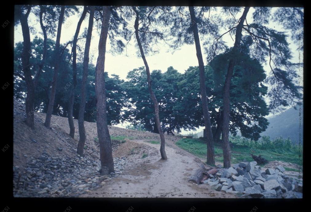 1975년 의촌 시사단