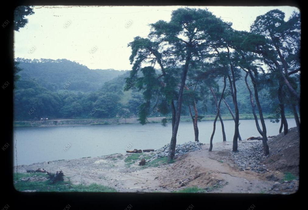 1975년 의촌 시사단