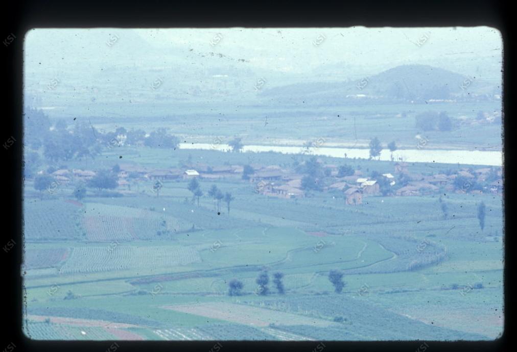 1975년 의인