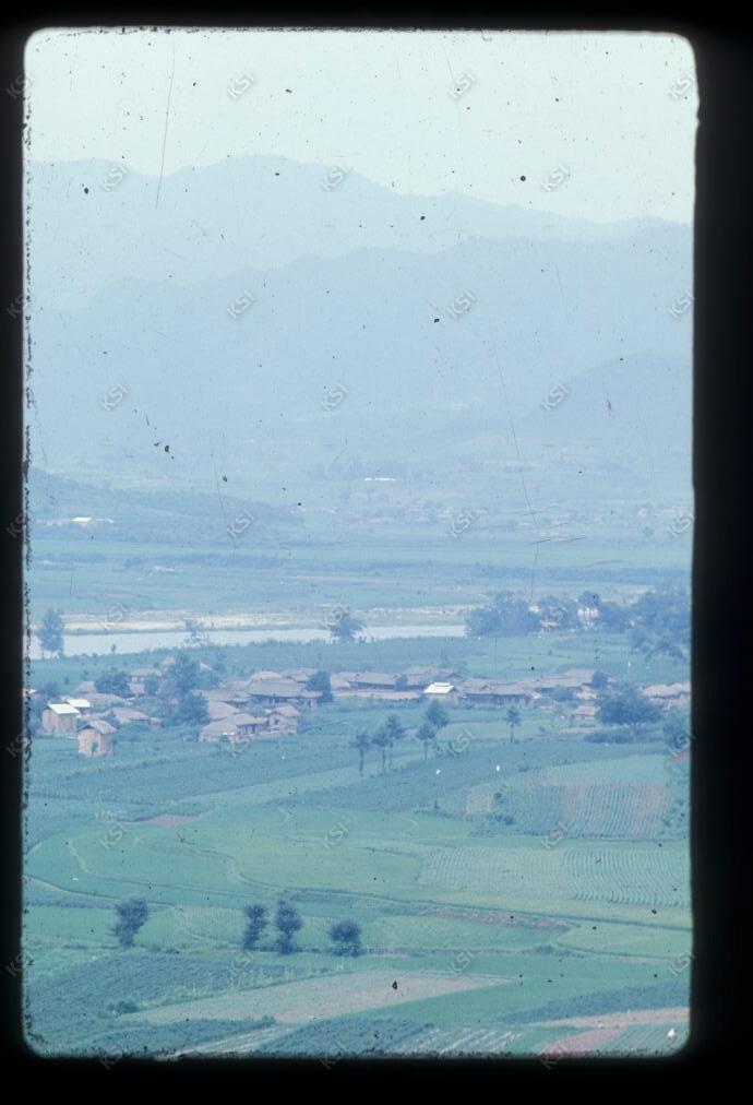 1975년 의인