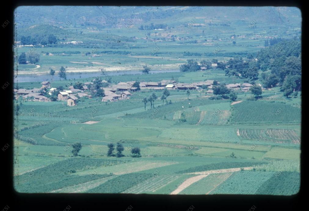 1975년 의인
